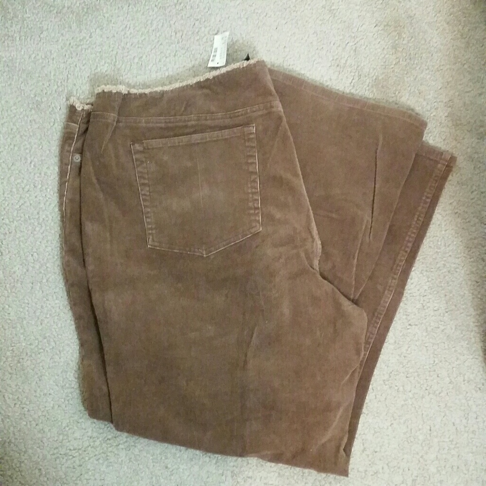 Lane Bryant jeans